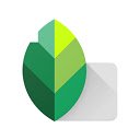 Snapseed for PC/MAC  screen for extension Chrome web store in OffiDocs Chromium