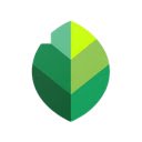 Snapseed for Pc,Windows and Mac (Free Download)  screen for extension Chrome web store in OffiDocs Chromium