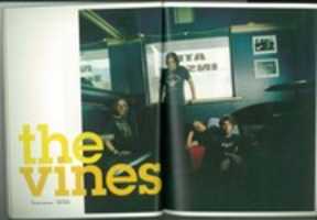 Free download SNOOZER #043 - The Vines press clipping free photo or picture to be edited with GIMP online image editor