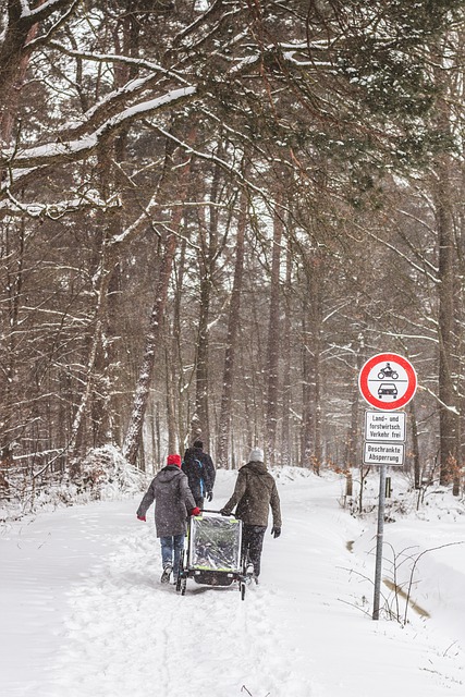 Bezpłatne pobieranie śnieżnego wózka dziecięcego wycieczka drzewa darmowe zdjęcie do edycji za pomocą bezpłatnego internetowego edytora obrazów GIMP