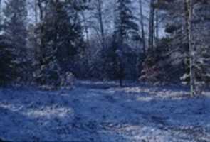 Free download Snow, Camp Site, Hunting free photo or picture to be edited with GIMP online image editor