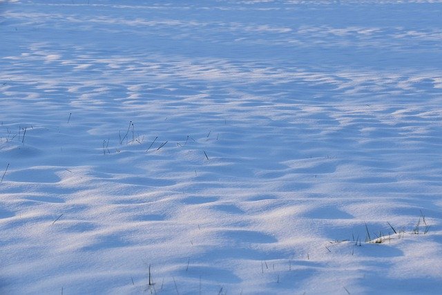 Free download snow carpet of snow free picture to be edited with GIMP free online image editor