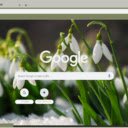 Snowdrop  screen for extension Chrome web store in OffiDocs Chromium