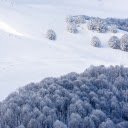 Snow falls in the woods  screen for extension Chrome web store in OffiDocs Chromium