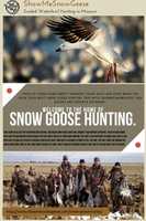 Free download Snow Goose Hunting free photo or picture to be edited with GIMP online image editor