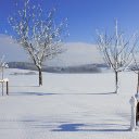 Snow in the sun  screen for extension Chrome web store in OffiDocs Chromium Snow in the sun  screen for extension Chrome web store in OffiDocs Chromium