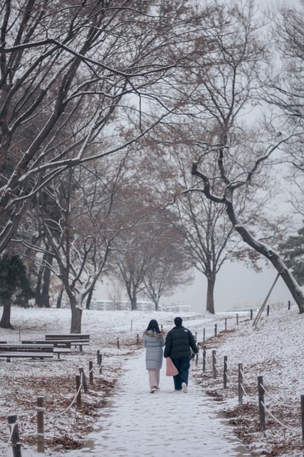 免费下载雪景公园自然树免费图片可使用 GIMP 免费在线图像编辑器进行编辑