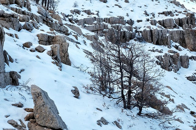 Free download snow snow mountain mountain winter free picture to be edited with GIMP free online image editor