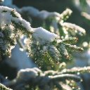 SNOW Theme  screen for extension Chrome web store in OffiDocs Chromium