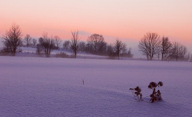 Free download snow trees country dusk winter free picture to be edited with GIMP free online image editor