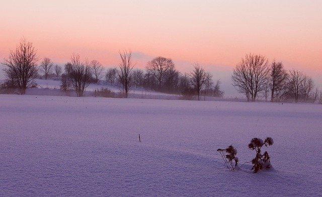 Libreng download snow trees country dusk winter libreng larawan na ie-edit gamit ang GIMP free online image editor