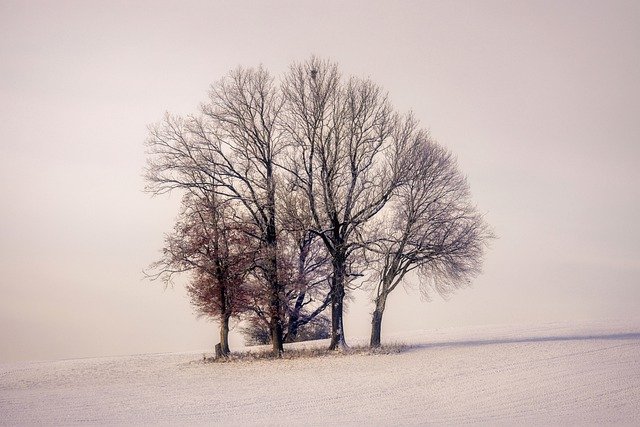 Téléchargement gratuit d'une image gratuite de neige hiver humeur froide calme à modifier avec l'éditeur d'images en ligne gratuit GIMP