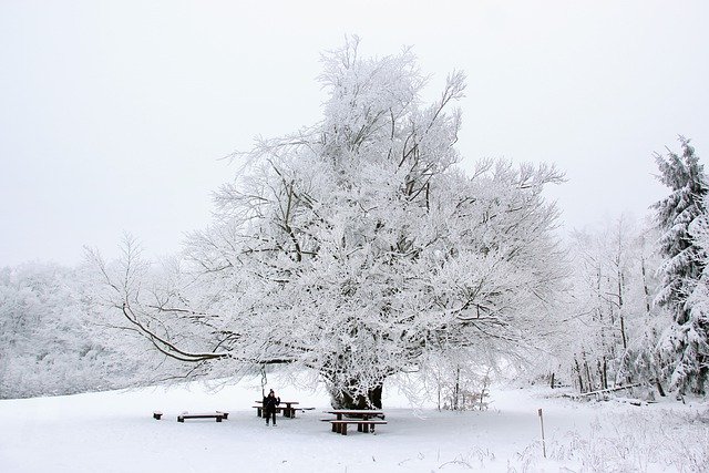 Free download snow winter swing tables benches free picture to be edited with GIMP free online image editor