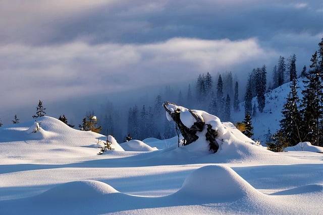 Téléchargement gratuit neige hiver hiver rêve nature image gratuite à éditer avec l'éditeur d'images en ligne gratuit GIMP
