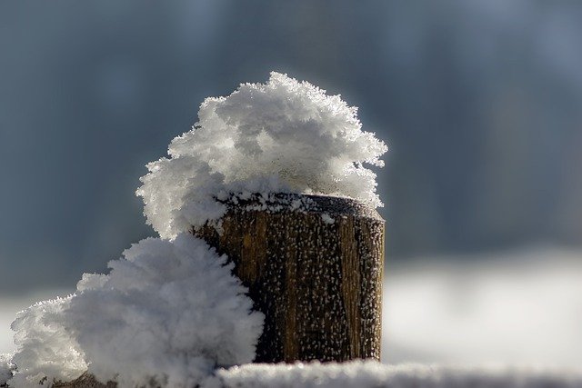 Bezpłatne pobieranie śnieżnego drewna zima zimny lód darmowe zdjęcie do edycji za pomocą bezpłatnego internetowego edytora obrazów GIMP