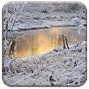 Snowy Creek  screen for extension Chrome web store in OffiDocs Chromium