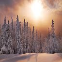 Snowy Forest Sunset HD Theme  screen for extension Chrome web store in OffiDocs Chromium