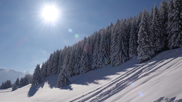 免费下载雪景冬天冷杉森林免费图片以使用 GIMP 免费在线图像编辑器进行编辑