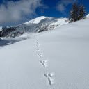 Snowy mountains and footprints  screen for extension Chrome web store in OffiDocs Chromium