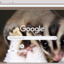 Soc Bay  screen for extension Chrome web store in OffiDocs Chromium