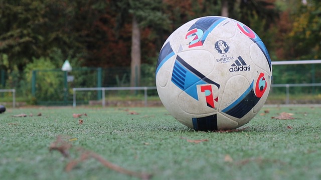 Free download soccer adidas uefa football pitch free picture to be edited with GIMP free online image editor