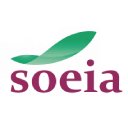 Soeia  screen for extension Chrome web store in OffiDocs Chromium