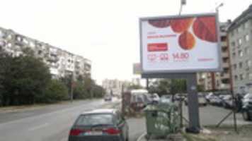 Free download SOFIA POZ R 35 free photo or picture to be edited with GIMP online image editor