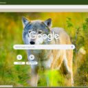 Soi  screen for extension Chrome web store in OffiDocs Chromium