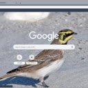 Son Ca  screen for extension Chrome web store in OffiDocs Chromium