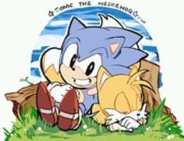 Free download sonic the hedgehog and tails miles prower the fox free photo or picture to be edited with GIMP online image editor