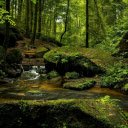source stream  screen for extension Chrome web store in OffiDocs Chromium