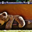 Souvenir suitcase with bear  screen for extension Chrome web store in OffiDocs Chromium