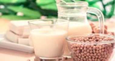 Free download soya free photo or picture to be edited with GIMP online image editor