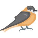 Sparrow on Tulip  screen for extension Chrome web store in OffiDocs Chromium