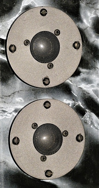 Bezpłatne pobieranie głośnika wysokotonowego z kopułką hi-fi stereo darmowe zdjęcie do edycji za pomocą bezpłatnego internetowego edytora obrazów GIMP
