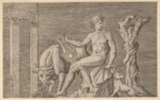 Free download Speculum Romanae Magnificentiae: Apollo Tending the Flocks of Admetus free photo or picture to be edited with GIMP online image editor