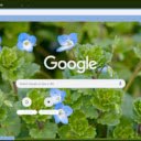 Speedwell  screen for extension Chrome web store in OffiDocs Chromium