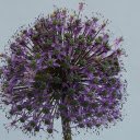 Spherical Flower Branch  screen for extension Chrome web store in OffiDocs Chromium