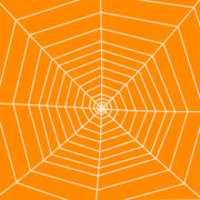 Free download Spider 02 Animate free photo or picture to be edited with GIMP online image editor