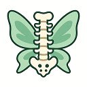 Spine Angel  screen for extension Chrome web store in OffiDocs Chromium