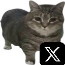 Spinning Cat (OIIA) Button For X  screen for extension Chrome web store in OffiDocs Chromium