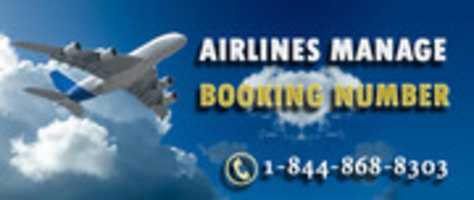 Free download Spirit Airlines Reservations Number free photo or picture to be edited with GIMP online image editor