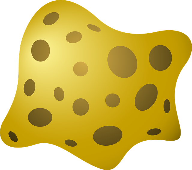 دانلود رایگان Sponge Sea - گرافیک وکتور رایگان در Pixabay تصویر رایگان برای ویرایش با ویرایشگر تصویر آنلاین رایگان GIMP