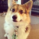 Tela Corgis patrocinada para extensão da loja virtual do Chrome no OffiDocs Chromium