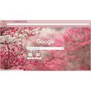 sppppring  screen for extension Chrome web store in OffiDocs Chromium