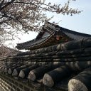 Spring Blossoms Over a Palace Wall  screen for extension Chrome web store in OffiDocs Chromium