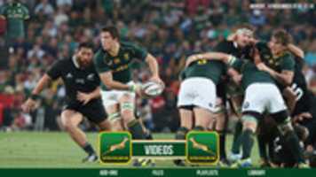 Gratis download springboks gratis foto of afbeelding om te bewerken met GIMP online afbeeldingseditor