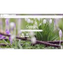 Free download Spring Flowers -  free free photo or picture to be edited with GIMP online image editor