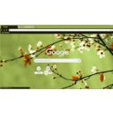 spring flowers  screen for extension Chrome web store in OffiDocs Chromium
