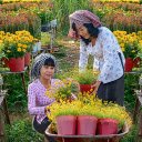 Spring garden  screen for extension Chrome web store in OffiDocs Chromium
